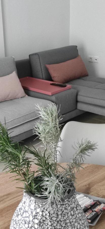 Elena Apartments 奥林匹亚达 外观 照片